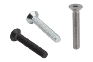 Screws with countersunk head hexagon socket DIN EN ISO 10642 Screws with countersunk head hexagon socket DIN EN ISO 10642