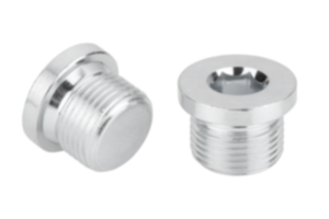 Screw plugs with collar and hexagon socket DIN 908