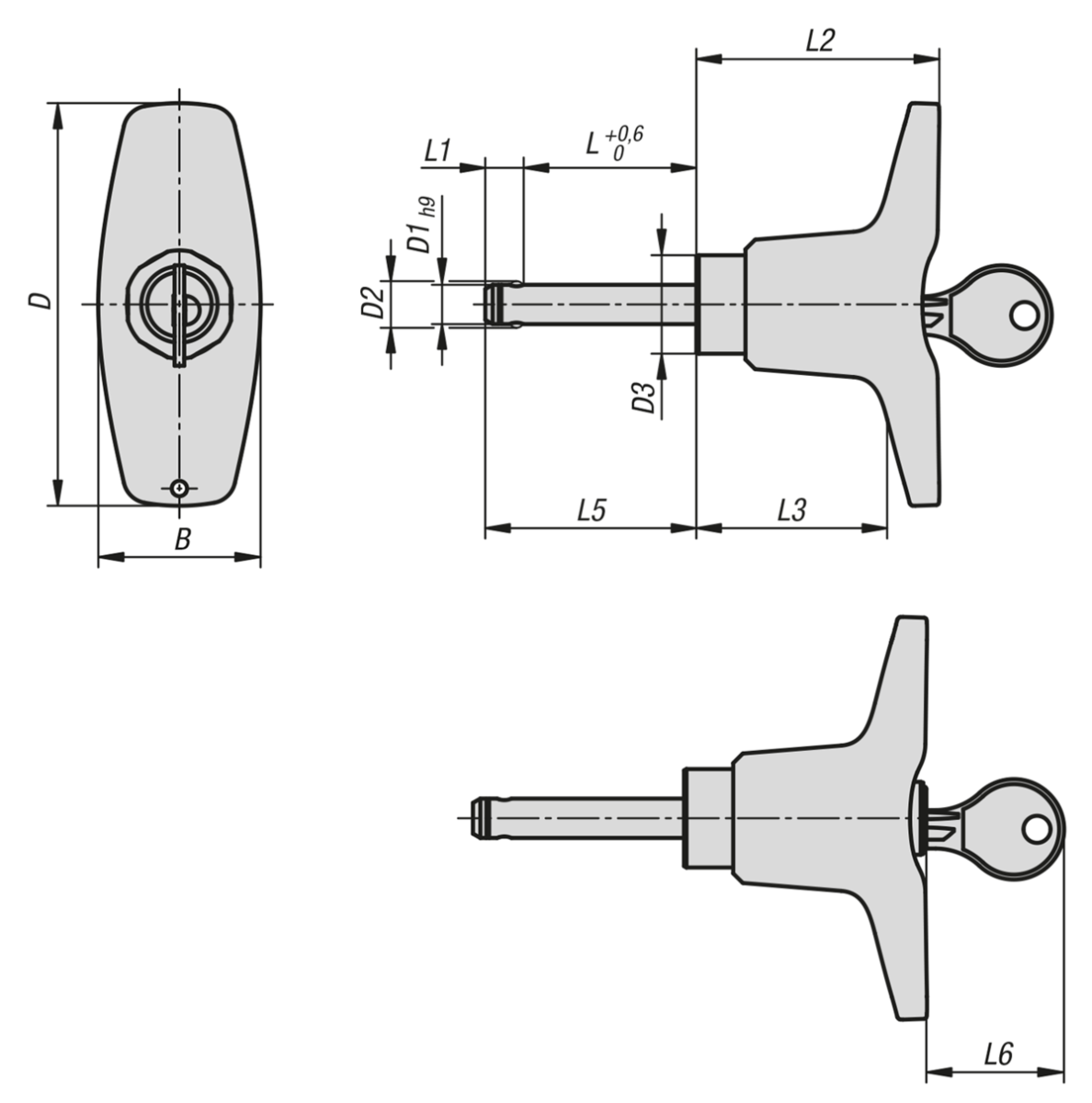 Ball lock pins with T-grip, lockable