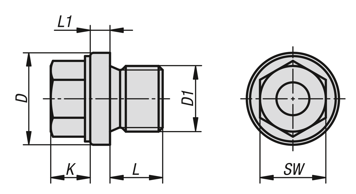 Hexagon head screw plugs with collar DIN 910