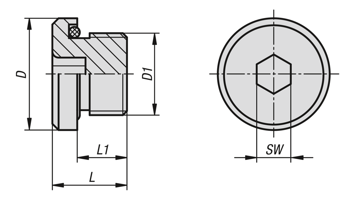 Screw plugs with hexagon socket