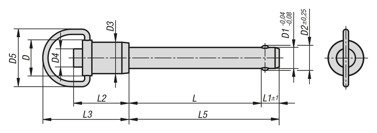 Ball lock pins with grip ring stainless steel